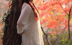 群魔色舞综合社区